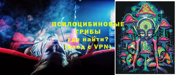 прущие грибы Карпинск